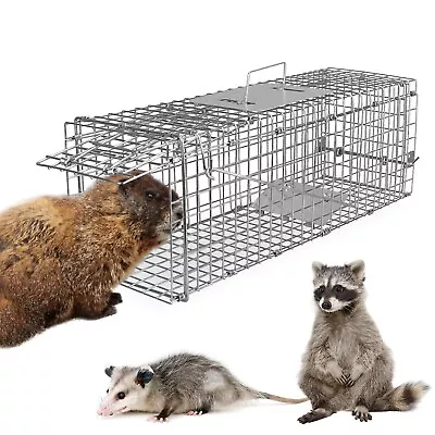 24  Humane Animal Live Trap Cage For Raccoons Rodent Control Stray Cat Squirrel • $31.87