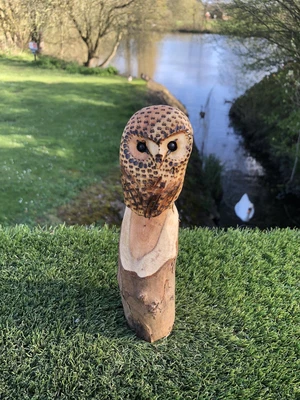 £22 • Buy Bespoke Chainsaw Owl Carvings In Wood 13230W9