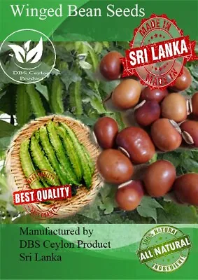 30+ Winged Bean Seeds/ Asparagus Bean/ Dragon Bean Sri Lanka • $4.95