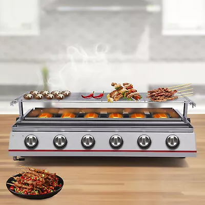 6-Burner Portable Stainless Steel BBQ Tabletop LPG Gas Grill Outdoor Picnic USA • $122