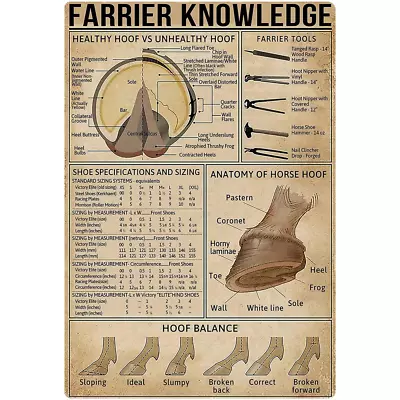 Farrier Knowledge Metal Tin Sign Anatomy Of Horse Hoof Retro Poster Country Farm • $14.87