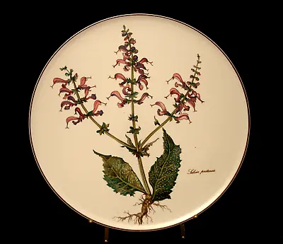 Botanica By Villeroy Boch CAKE PLATE 11 3/4  • $32