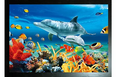 BLACK FRAMED DOLPHIN PAIR AND MARINE LIFE - 3D DOLPHIN PICTURE 425mm X 325mm  • £14.95