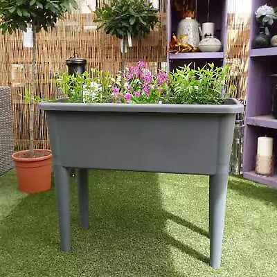 Charles Rose Raised Propagation Planter With Ventilated Lid - Grey • £26.95