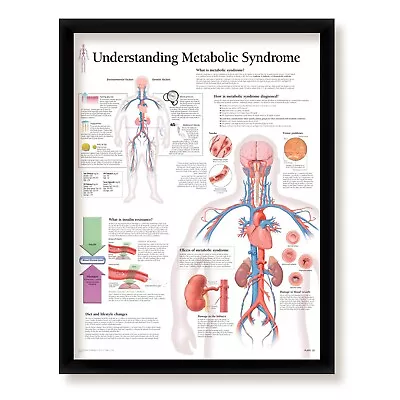 Understanding Metabolic Syndrome Framed Medical Poster 22x28 Wall Diagram • $65.99