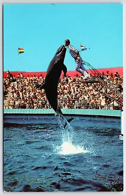 Vintage Postcard - Marineland Of The Pacific - Bubbles - California - CA • $3.50