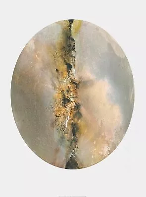 $529.38 • Buy ZAO WOU-KI (after), 2006 Photolithography From Oval Composition 1988