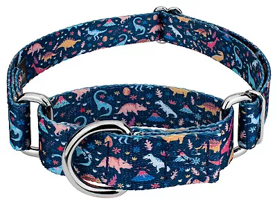 Country Brook Petz® Dinosaurs Martingale Dog Collar • $12.97