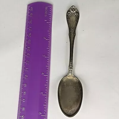 H & T Mfg. Co. MEADOW FLOWERS Teaspoon Vintage • $9.99