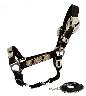 $53.99 • Buy Yearling Sized LEATHER SHOW HALTER W/ Black Scroll Inlays Engraved Silver Lead