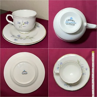 Sadler Wellington Fine Bone China Tea Cup & Saucer Vintage • £14.99
