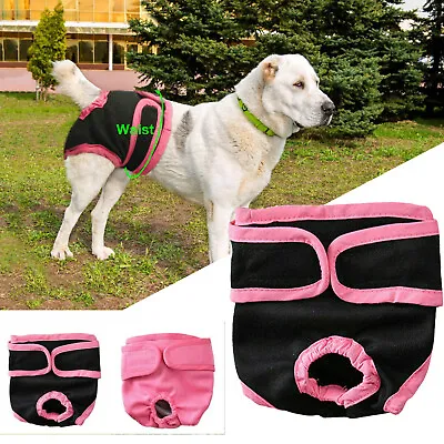 £4.92 • Buy Female Pet Dog Pants Bitch Heat In Season Menstrual Sanitary Nappy Diaper S-XL