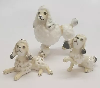 Vintage Bone China Miniature Poodles Set • $29.99