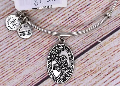 NEW NWT Alex And Ani Because I Love You Granddaughter II Silver Bracelet • $12.34