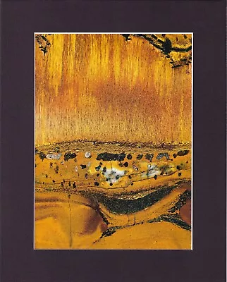8X10  Matted Print Art Picture Rock Inside Cut Stone: Marra Mamba Tiger's Eye • $13.99