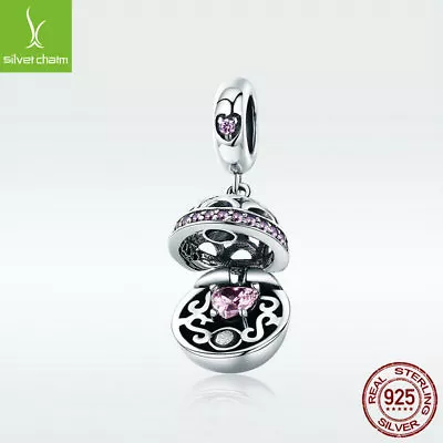 Optional S925 Sterling Silver Bead Love's Surprise Charms Pendant For Bracelets • $7.28