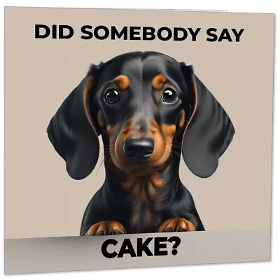 Funny Dachshund Birthday Card - Sausage Dog Birthday Card - 145mm X 145mm • £2.99