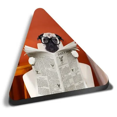 Triangle MDF Magnets - Pug Puppy Dog Reading Paper #15775 • £4.99