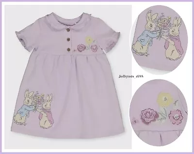 Baby Girls PETER RABBIT Lilac Cotton Dress Beatrix Potter Dress 0-18 Months NEW • £11.99