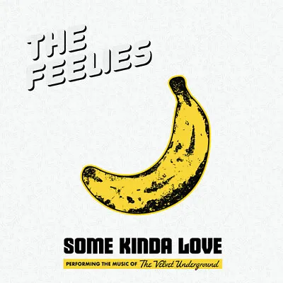 The Feelies - Some Kinda Love: Performing The Music Of The Velvet Underground [N • $16.08