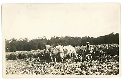 RPPC Horse Drawn Plow Field Of Corn Rural Americana Farm Real Photo Postcard • $7.99