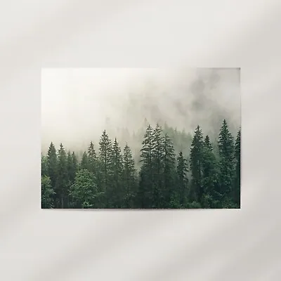 Evergreen' Premium Wall Art Poster Print - Forest Landscape Photography • $139.95