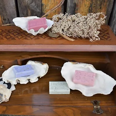£75 • Buy Antique Vintage Fluted Clam Shell With French Marseille Soap Dishes 3 Available