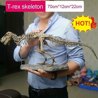 T Rex Tyrannosaurus Rex Skeleton Dinosaur Animal Decor Collector Toy 70*12*22cm • £17.50