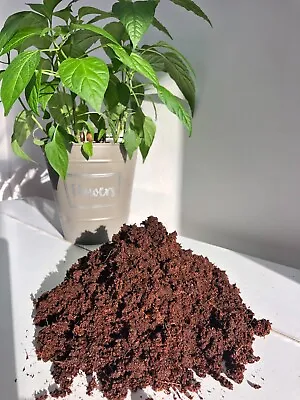 £1.99 • Buy Multipurpose Soil For House Plant Potting & Seeding - Compost Bricks 1-33 Litres