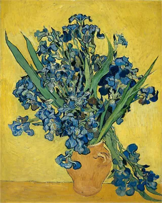 Hand-painted Oil Painting Vincent Van Gogh Irises May 1890 - 1890 • $99.60