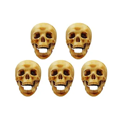 Human Skull Replica 1:12 Scale Open Jaw Aged (hand Painted) Miniature • $17