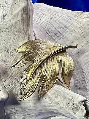 Vtg Textured Gold Tone Leaf Brooch Unsigned 50 Mm By 40.5 Mm Costume Jewelry • $9.99