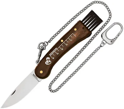 Fox Mushroom Brown Smooth Wood 420C Stainless Pocket Knife 404 • $56.95