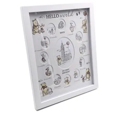 Disney Baby Winnie The Pooh 12 Month Photo Frame My First Year DI500 • £22.99