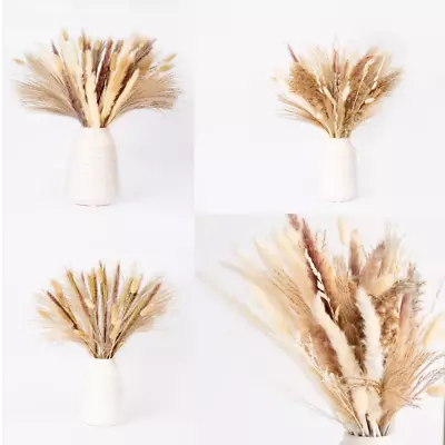 Natural Dried Pampas Grass Plant Bouquet Flowers For Wedding Home Décor Floral • £9.99