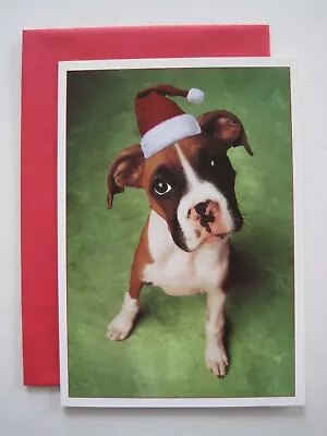 10 Christmas Cards W/Red Envelopes BOXER Puppy Dog Santa Hat MARCEL SCHURMAN • $7.50