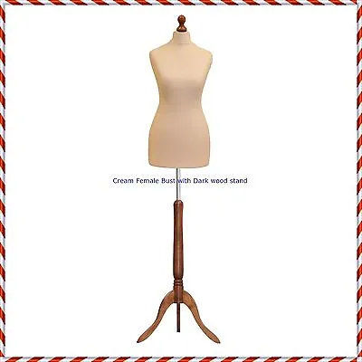 Female Size 10/12  Tailors Bust Mannequin Cream Dummy  Fashion  Retail Display • £9.95