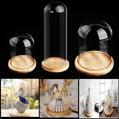 £9.99 • Buy DIY Decorative Glass Dome With Wooden Base Cloche Bell Jar Display Stand 3 Sizes