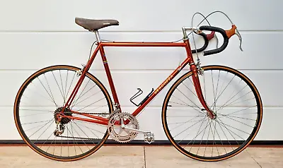 BERGOZZA RAMATA Vintage Italian Steel Bicycle CAMPAGNOLO G.S. UNIVERSAL COLUMBUS • $850