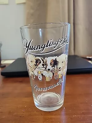 Yuengling Puppies Logo Beer Glass Pottsville PA USA • $0.99