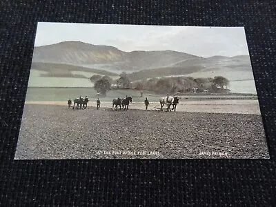 Social History Postcard Farming Horses Ploughing The Pentlands By James Patrick • £1.50