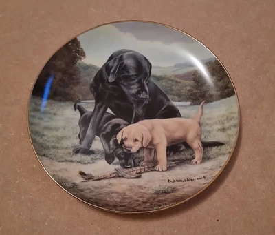£3 • Buy Franklin Mint Plate Spring Training Dogs Black Golden Labradors By Nigel Hemming