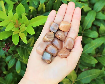 1/4 Lb Bulk Lot PEACH Moonstone Tumbled Stone Crystal Healing Reiki Tumble 4 Oz • $11.75