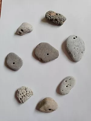 8x Natural Hag Stones With Holes Right Through Them.Pagan/wicca Lucky Stone. • £5.60