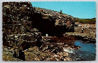 Mt Desert Island Maine~Anemone Caves Scene @ Acadia Natl Park~Vintage Postcard • $3.70