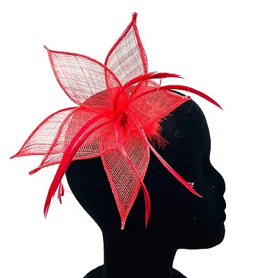 Ladies Feather Beak Clip Fascinator Weddings Races Royal Ascot Hair Clip • £6.75