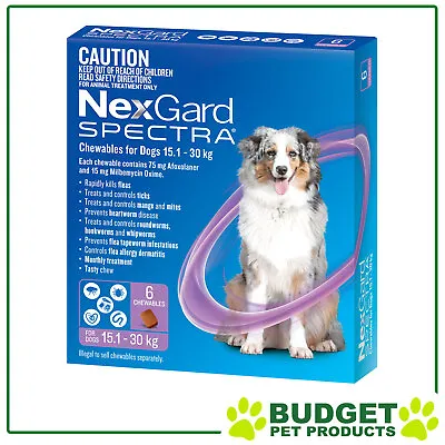 NexGard Spectra Chewables For Dogs Purple 15.1-30kg 6 Pack • $95.99