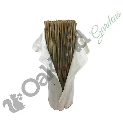 3ft Bamboo Canes 10-12mm Medium Stake Garden Plant Flower Support Stick Cane • £59.95