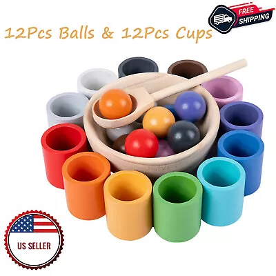 Toddler Rainbow Balls In Cups Montessori Toy Preschool Sensory Color Sorting Toy • $19.85