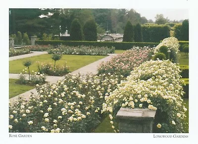 *PA Postcard- Rose Garden  -1960's-/Planned By Du Ponts-*Longwood Gardens{*L2-S4 • $4.28